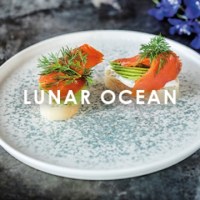 Bonna Lunar Ocean Dinnerware Crockery
